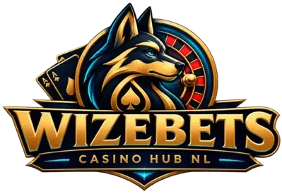 wizebetscasinohubnl.com